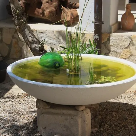 Vila Sejuda Hotel Peschici