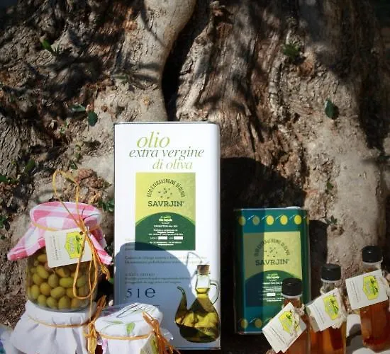 Vila Sejuda מלון פסקיצ'י